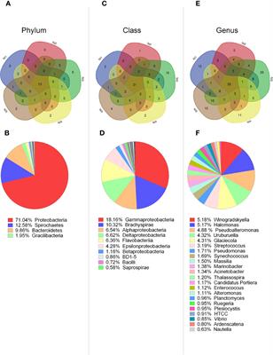 Host Defense Effectors Expressed by Hemocytes Shape the Bacterial Microbiota From the Scallop Hemolymph